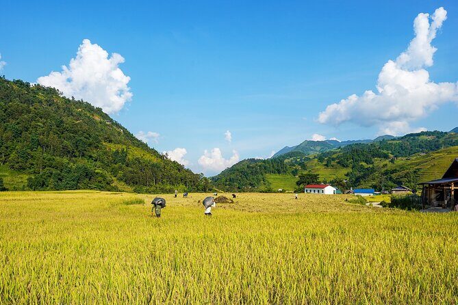 Sapa Trekking & Homestay 2 Days 1 Night - Who Is This Tour Best For?
