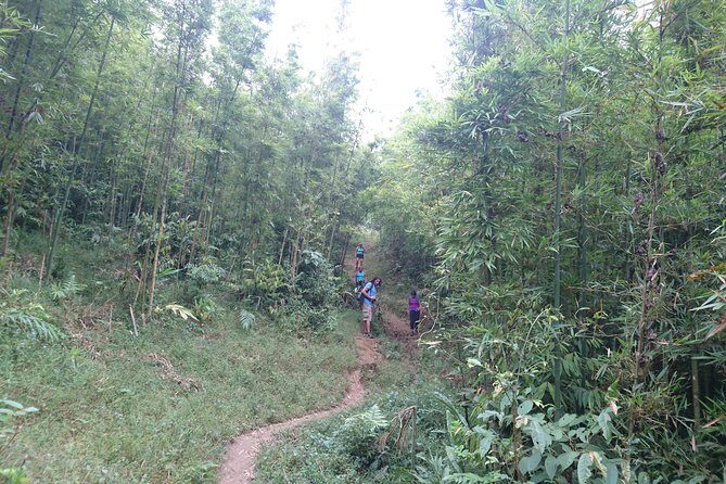 Sapa Trekking Tour - 1 day - Practical Tips for Your Trek
