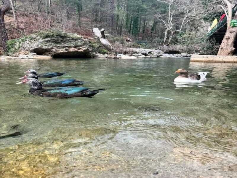 Sapadere Jeep Safari: Taurus Mountains, Waterfall & Cave - Discovering the Sapadere Jeep Safari: Taurus Mountains, Waterfall & Cave