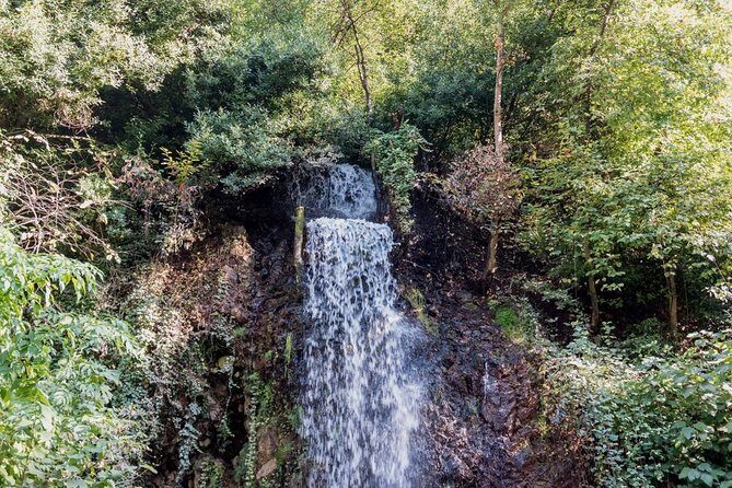 Sapanca And Masukiye Tour With Lunch - Full Day - Analyzing the Value