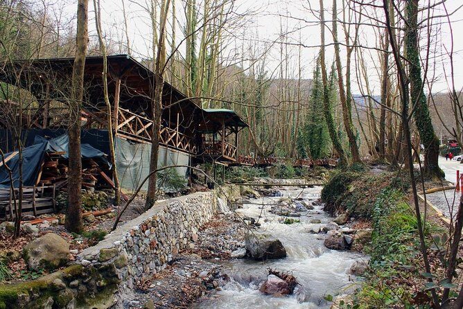 Sapanca And Masukiye Tour With Lunch - Full Day - Who Is This Tour Best Suited For?