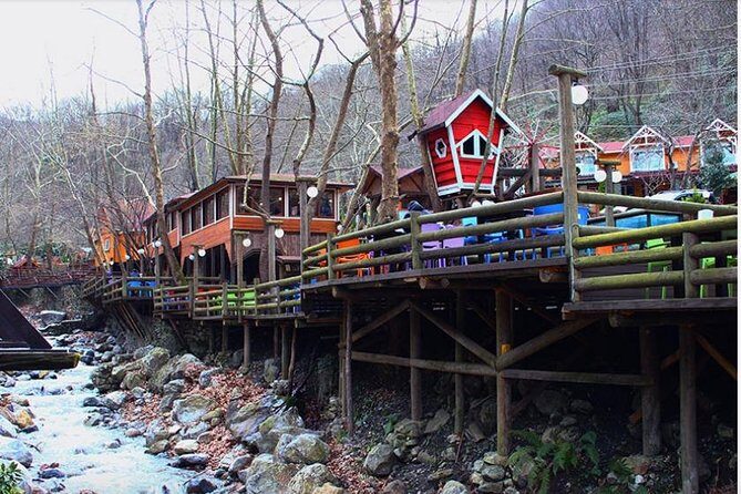 Sapanca and Zoo Private Tour From Istanbul - VIP Minivan - Best Quality - Exploring the Full Itinerary: What You Can Expect