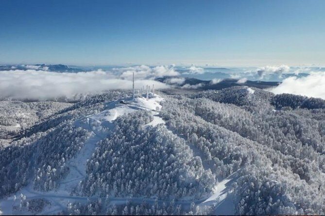 Sapanca and Zoo Private Tour From Istanbul - VIP Minivan - Best Quality - Practical Tips for Making the Most of This Tour