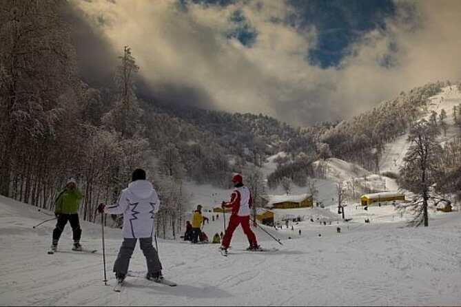 Sapanca and Zoo Private Tour From Istanbul - VIP Minivan - Best Quality - Who This Tour Is Best For