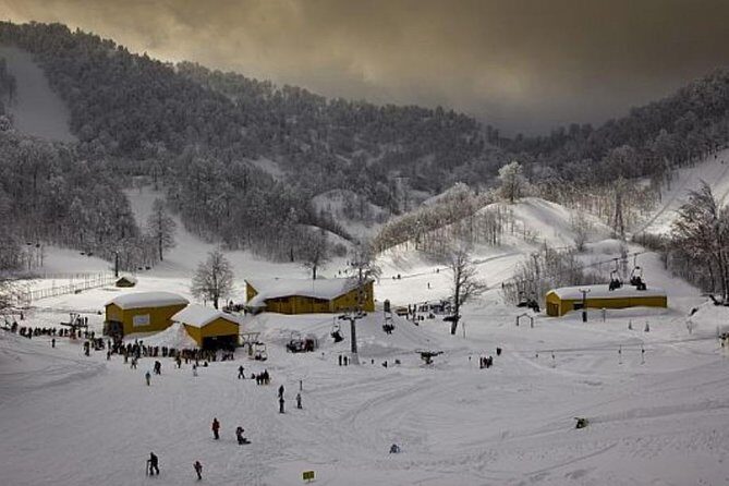 Sapanca and Zoo Private Tour From Istanbul - VIP Minivan - Best Quality - The Sum Up