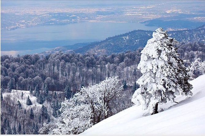 Sapanca and Zoo Private Tour From Istanbul - VIP Minivan - Best Quality - FAQ