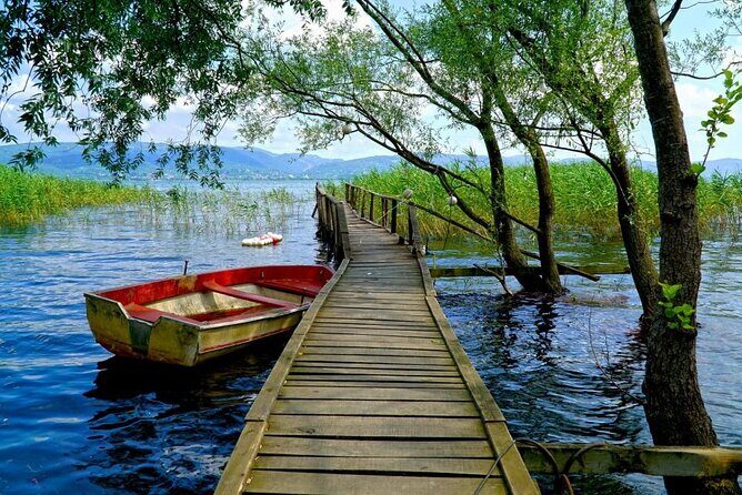 Sapanca Lake Tour with Lunch From Istanbul - First Stop: Darica Zoo