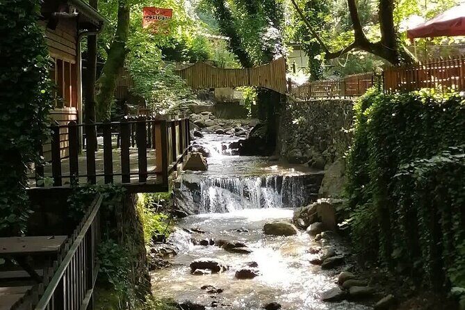 Sapanca Lake Tour with Lunch From Istanbul - Scenic Viewpoints & Kartepe