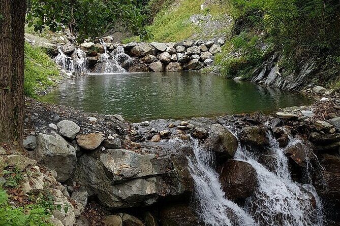 Sapanca Lake Tour with Lunch From Istanbul - Final Stop: Sapanca Lake