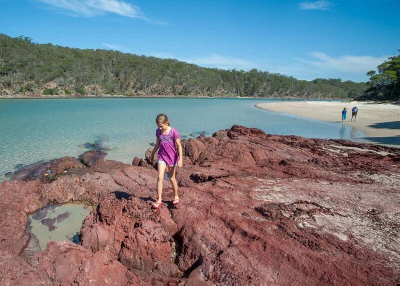 Sapphire Coast: 7h Shore Excursion with Aussie Morning Tea - Who Will Love This Tour?