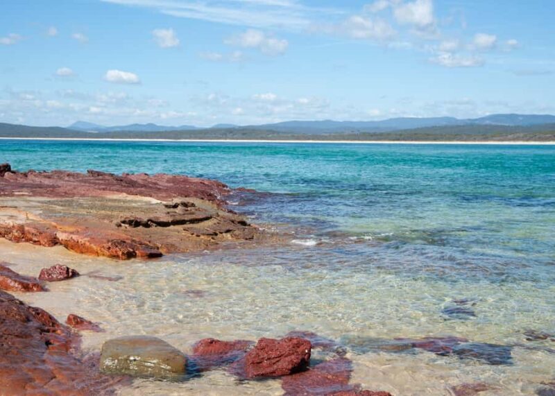 Sapphire Coast: 7h Shore Excursion with Aussie Morning Tea - FAQ