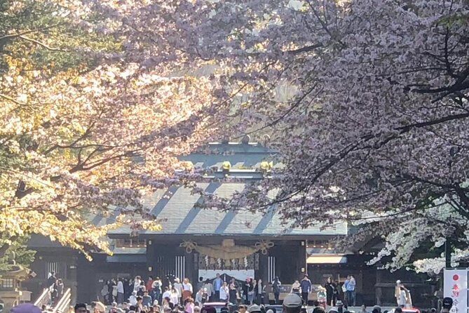 [Sapporo] Go by private car! Takino Cemetery, Hokkaido Shrine, Shiroi Koibito Park - Key Points