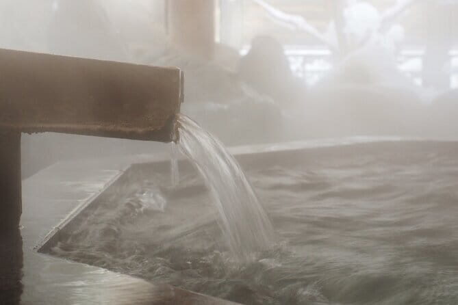 Sapporo Private Sightseeing Tour in Onsen with Special Package - A Deep Dive into the Experience