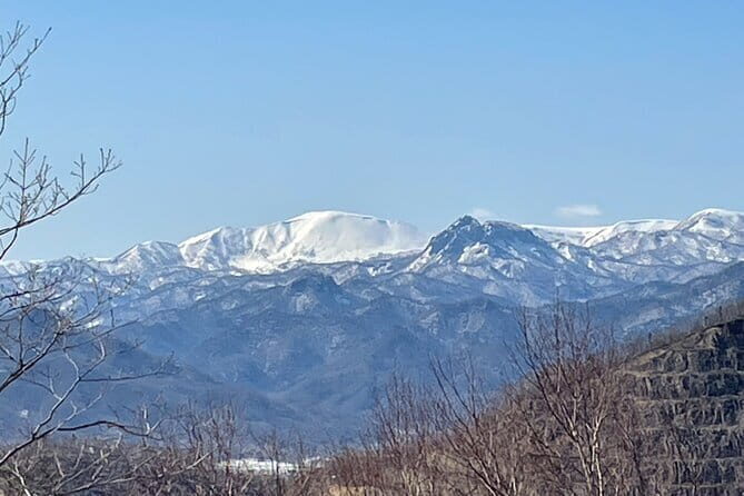 Sapporo Private Sightseeing Tour in Onsen with Special Package - Who Should Consider This Experience?