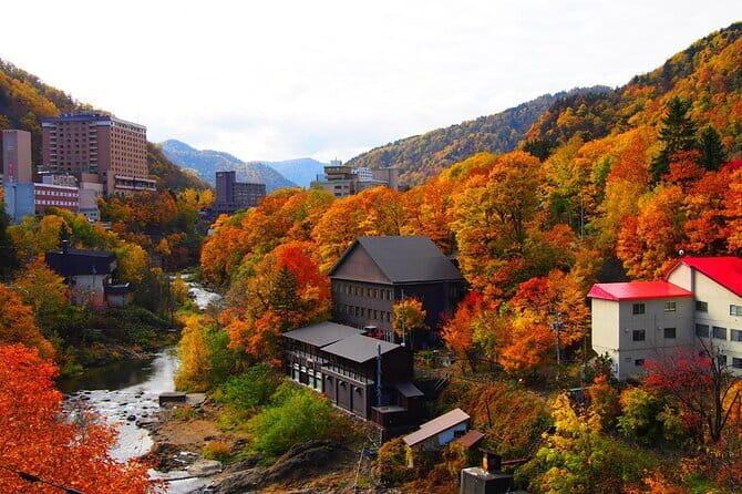 Sapporo Private Sightseeing Tour in Onsen with Special Package - FAQs