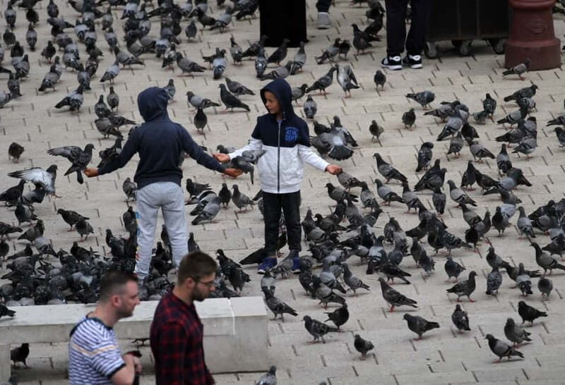 Sarajevo: Best of Sarajevo  Ultimate Full-Day Experience - The Wartime Stories and Resilience