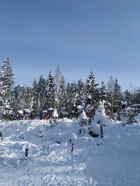 Sarajevo Sport tour: Olympic Mountains and Stadium Tour - Key Points