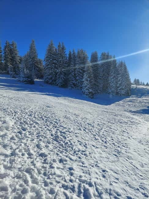 Sarajevo Sport tour: Olympic Mountains and Stadium Tour - What to Know Before You Go