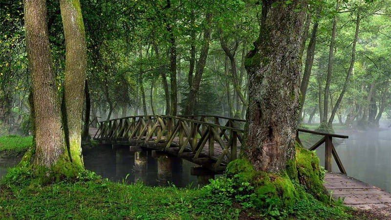Sarajevo: Vrelo Bosne Nature Park Private Tour - Key Points