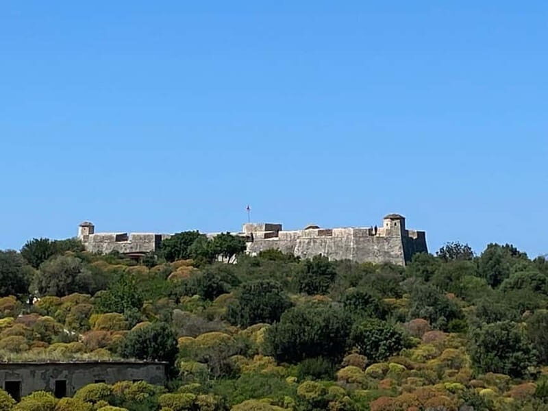 Saranda: Porto Palermo Castle & Himara Private Seaside Tour - A Deep Dive into the Experience