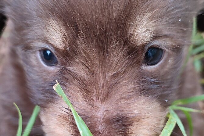 Saranda: Tour in South of Albania (Butrint, Blue Eye, Ksamil) - What You’ll Get: Comfort, Guidance, and Value