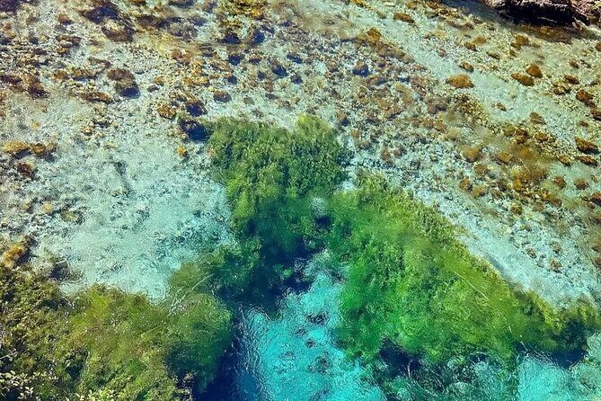 Sarande Blue Eye and Lekursi Castle Tour - Who is this tour best for?