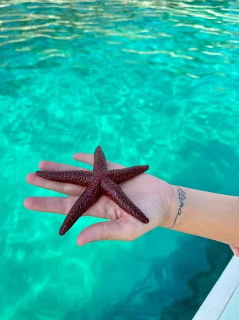 Sarande: Secrets of South Ksamil Hidden Isles & Caslte Ruins - FAQ