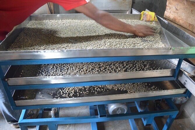 Sarangkot Village Coffee Culture and Authentic Local Life Tour - A Deep Dive into the Sarangkot Experience