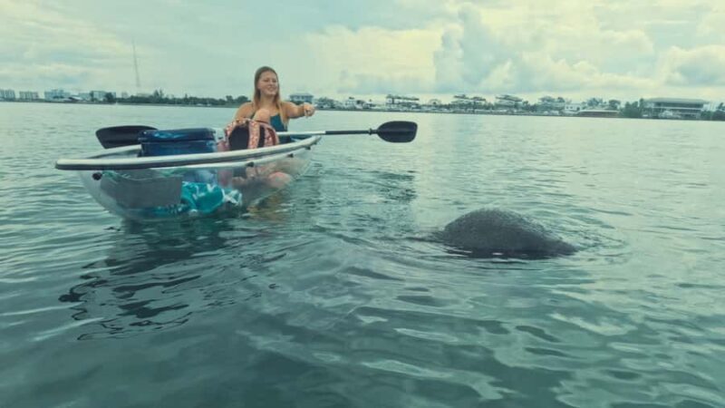 Sarasota: Clear Kayak Mangrove Tunnel & Beach Hopping Tour - Key Points