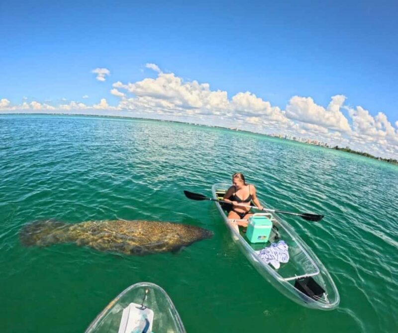 Sarasota: Clear Kayak Mangrove Tunnel & Beach Hopping Tour - Final Words: Who Should Book?