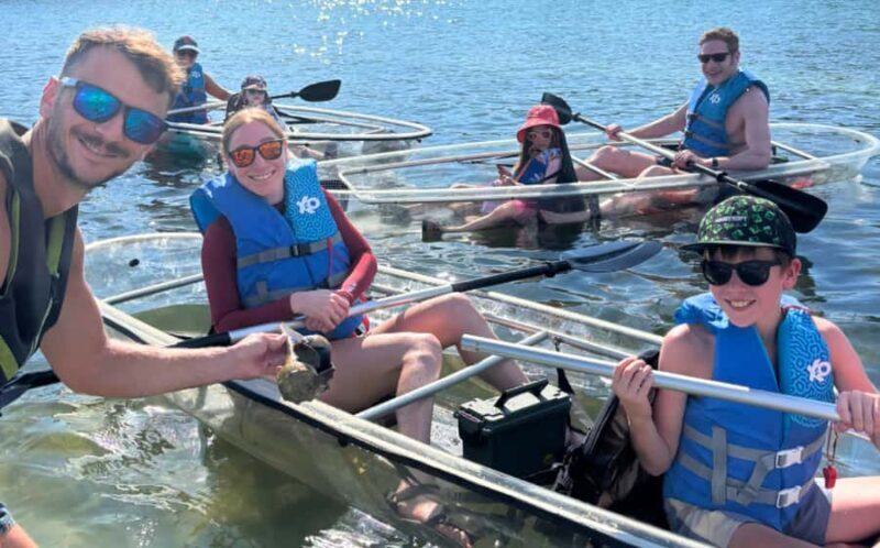 Sarasota: Clear Kayak Mangrove Tunnel Eco Tour - Reviewing the Experience