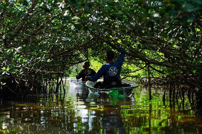 Sarasota Clear Kayak Tour - The Sum Up: Is It Worth It?