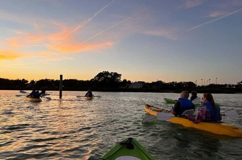 Sarasota: Glass Bottom Kayak Fish Feeding LED Night Tour - Practical Tips for Participants