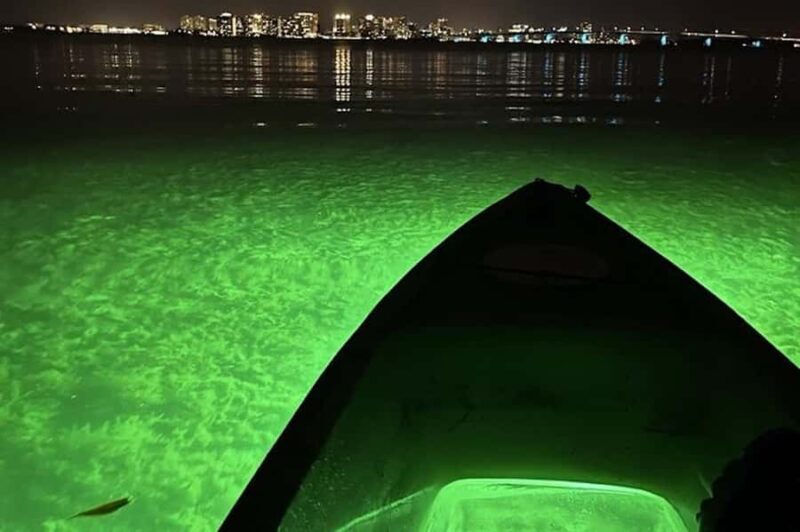 Sarasota: Glass Bottom Kayak Fish Feeding LED Night Tour - FAQ