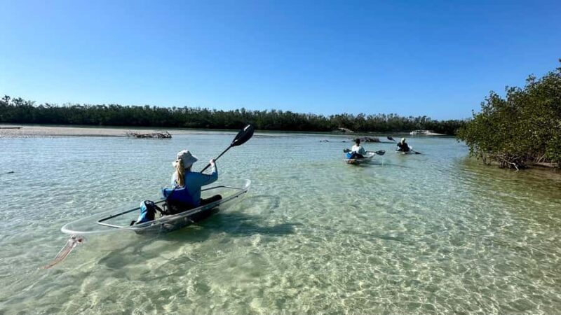 Sarasota: Siesta Key Clear Kayak Tour with Guide - Key Points