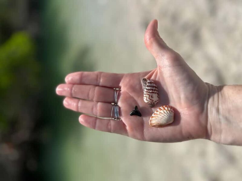 Sarasota: Siesta Key Clear Kayak Tour with Guide - Practical Tips for Participants