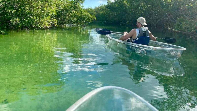 Sarasota: Siesta Key Clear Kayak Tour with Guide - Summary: Is This Tour for You?