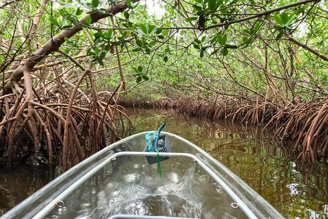 Sarasota Waterways Tour for All Ages - Who Will Love This Tour?