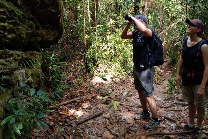 Sarawak Bako National Park Tour : Pristine Rainforest Jungle - Final Thoughts