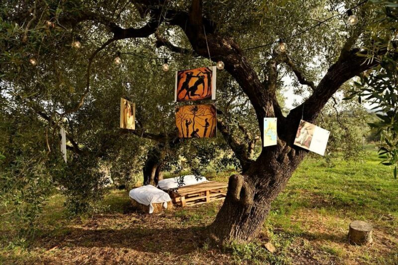 Sardegna: tour nel mondo dell' olio ExtraVergine, in tedesco - Frequently Asked Questions