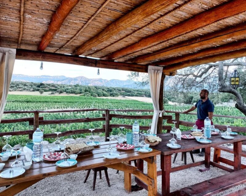 Sardinia: Dorgali Winery Tour with Tasting and Local Guide - An In-Depth Look at the Dorgali Winery Tour