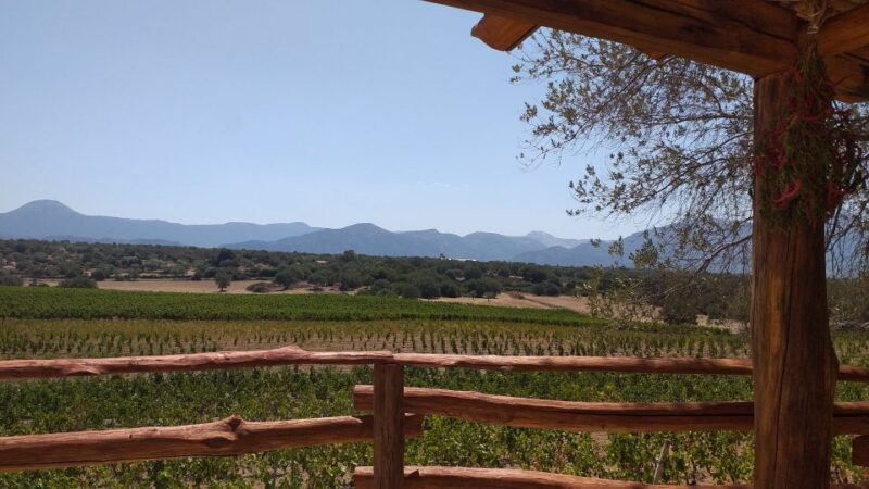 Sardinia: Dorgali Winery Tour with Tasting and Local Guide - Final Thoughts