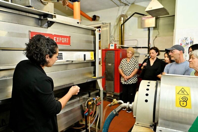SARDINIA FOOD Tour in the oil mill, with tasting, at sunset. - Who Should Take This Tour?