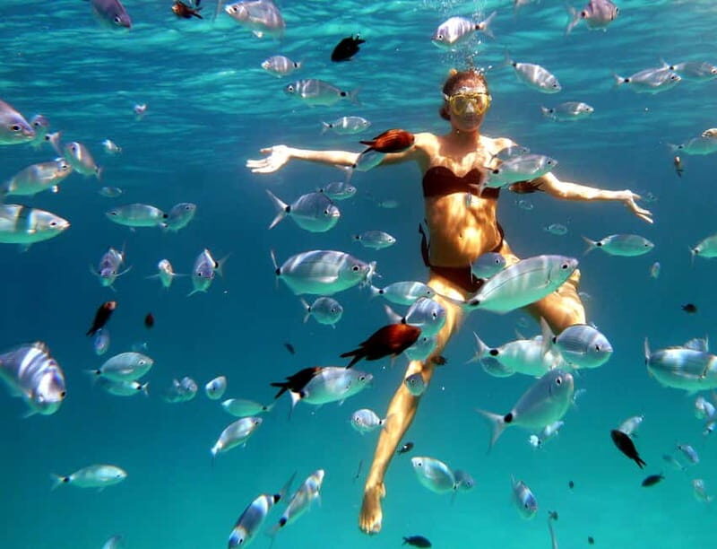 Sardinia: Morning Kayak Tour + Snorkeling and Local Aperitif - A Deep Dive into the Tour Experience