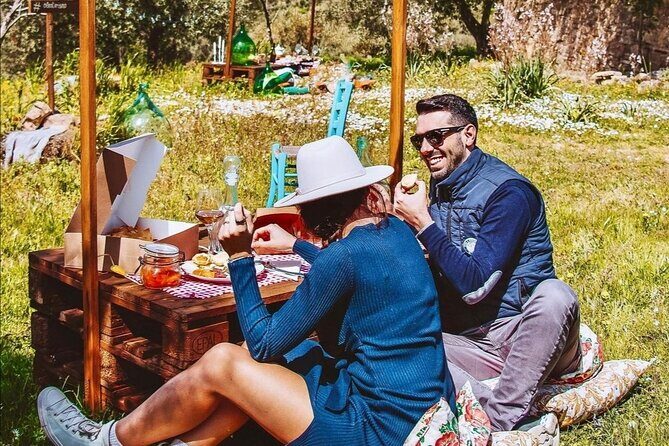 Sardinian Olive Oil tasting & Picnic among the olive trees - Key Points