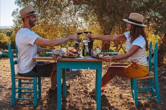 Sardinian Olive Oil tasting & Picnic among the olive trees - Discovering the Heart of Sardinian Olive Oil Production