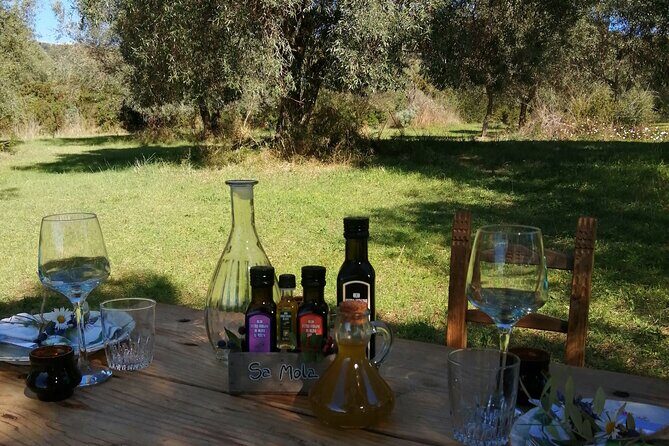 Sardinian Olive Oil tasting & Picnic among the olive trees - Who Will Love This Tour?