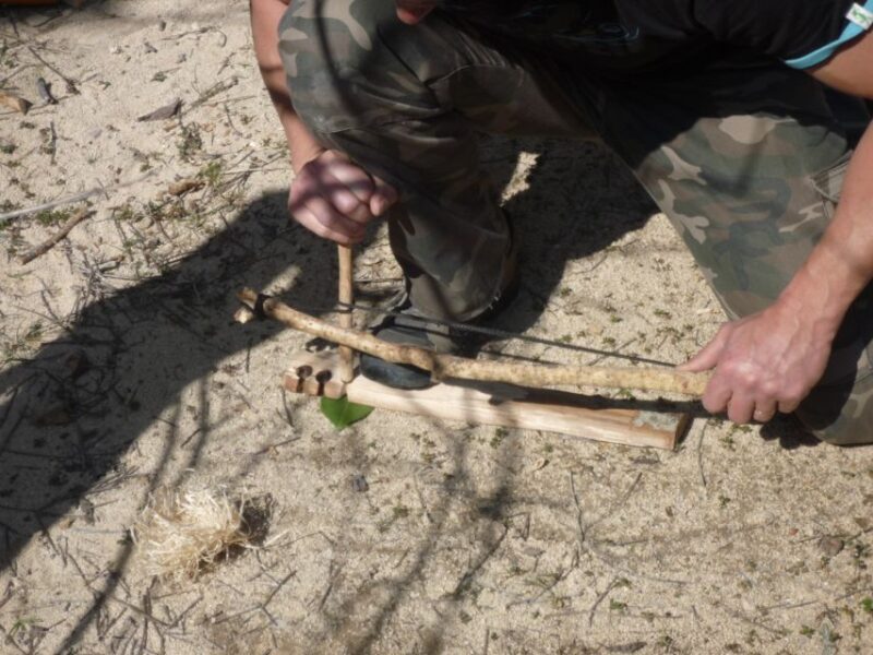 Sarlat : Private tour to Prehistoric Cave + Medieval Castle - Value and Practical Considerations