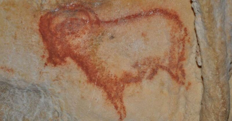 Sarlat : Private tour to Prehistoric Cave + Medieval Castle - FAQ