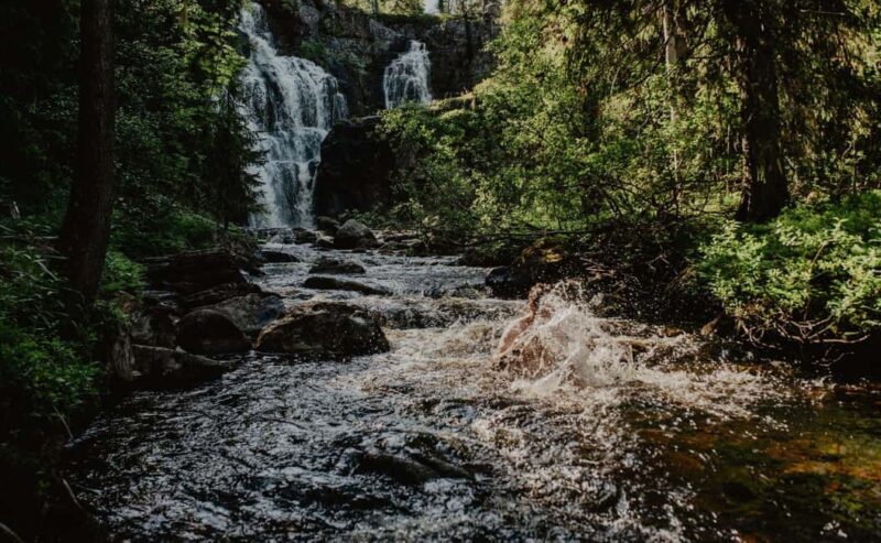 Särna: Brudslöjan Waterfalls Guided Hike with Lunch - Särna: Brudslöjan Waterfalls Guided Hike with Lunch — An Authentic Swedish Nature Experience
